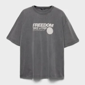 SHORT SLEEVE GRAPHIC TEE in Trip Grey